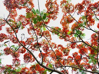 2025年3月国产游戏版号：《黑神话》《剑侠世界4：无限》过审